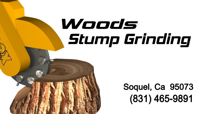 Santa Cruz Stump Removal
